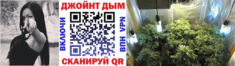 хочу   Чернушка  гидра маркетплейс  Бошки марихуана SATIVA & INDICA 